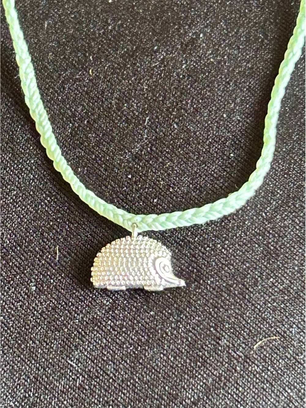 Pura Vida Silver Hedgehog Charm Bracelet with Mint Green Cord